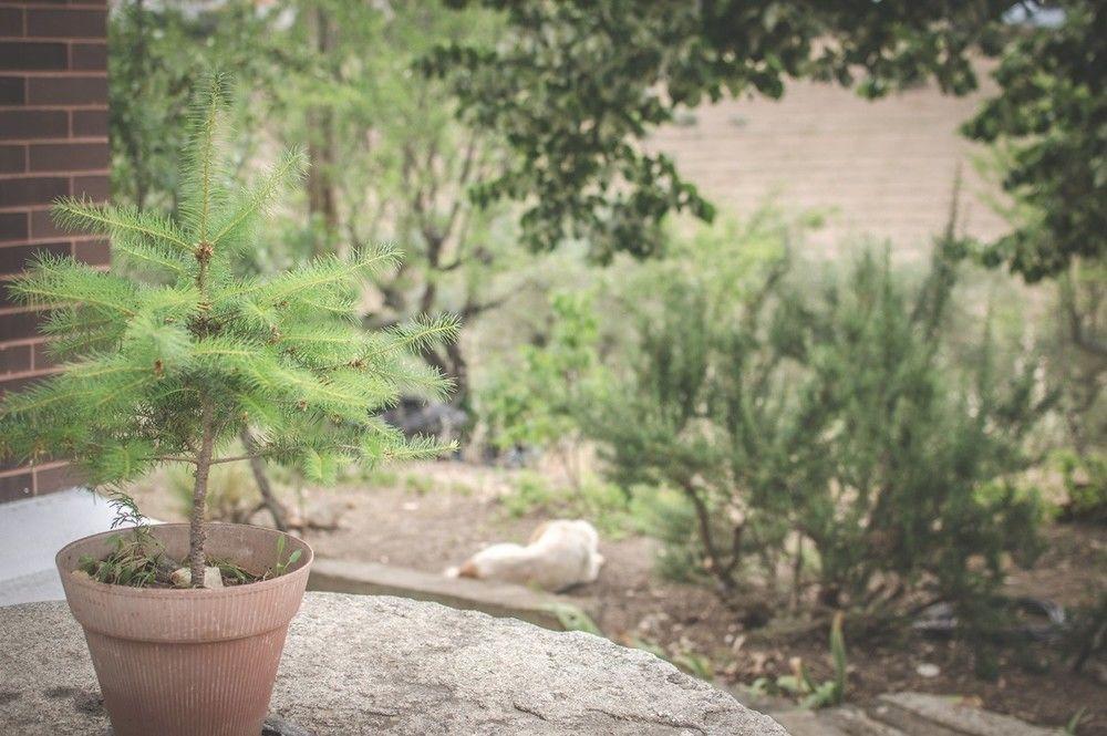 Willa Bela Vista Silo Housing Alfândega da Fé Zewnętrze zdjęcie